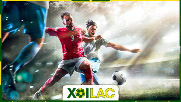 kham pha lich thi dau tong hop tren xoilac tv